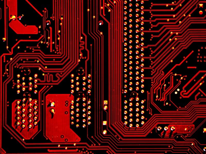 Healthy meal ingredients